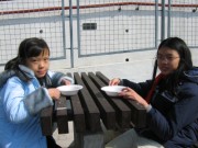 IMG_0101 * 2272 x 1704 * (1.89MB)