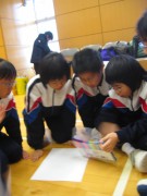 IMG_7031 * 1944 x 2592 * (1.62MB)