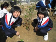IMG_1083 * 1024 x 768 * (364KB)