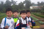 DCP_1527 * 876 x 584 * (194KB)