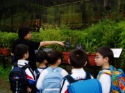 P1010071 * 2048 x 1536 * (678KB)