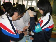 IMG_1991 * 2272 x 1704 * (1.62MB)