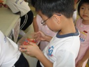 IMG_37 * 2272 x 1704 * (808KB)