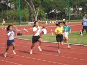 IMG_0201 * 2272 x 1704 * (854KB)