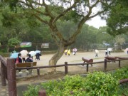 DSC00981 * 2272 x 1704 * (1.72MB)