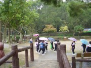 DSC00982 * 2272 x 1704 * (1.8MB)