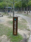 DSC00985 * 1704 x 2272 * (1.71MB)