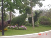 DSC04527 * 1632 x 1224 * (811KB)