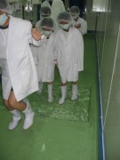 IMG_1033 * 1704 x 2272 * (829KB)