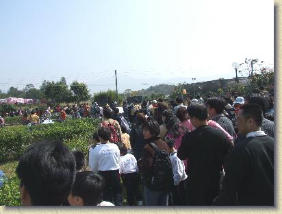 點選觀看原始影像檔案