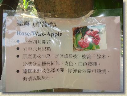 點選觀看原始影像檔案