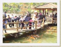 pta_picnic21 * 3072 x 2304 * (1.7MB)