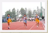 IMG_1280 * 2496 x 1664 * (1.68MB)