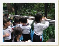 IMG_1934 * 2272 x 1704 * (1019KB)