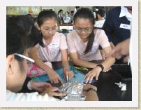 IMG_1395 * 2816 x 2112 * (1.3MB)