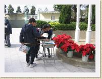 IMG_2739 * 2272 x 1704 * (1.09MB)