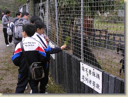 點選觀看原始影像檔案