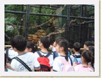 DSC00617 * 640 x 480 * (144KB)