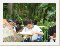 DSC00619 * 640 x 480 * (145KB)