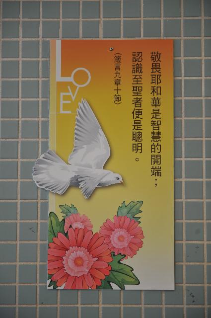 Click for original image