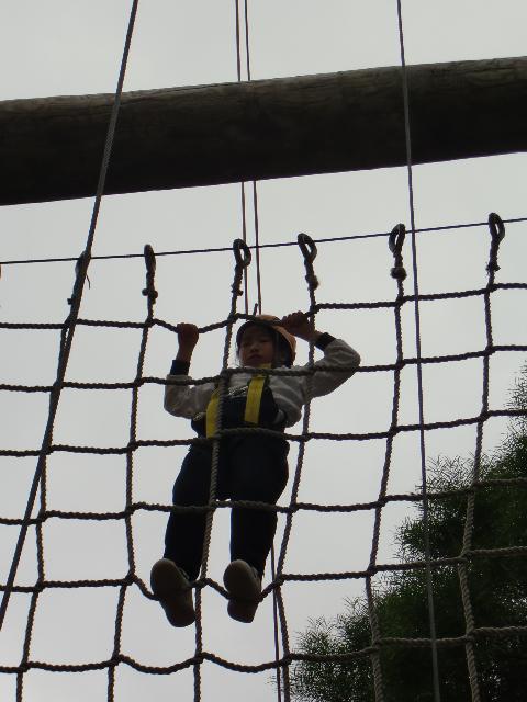 Click for original image