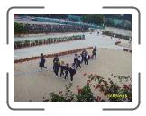 SSL21827 * 2816 x 2112 * (3.1MB)