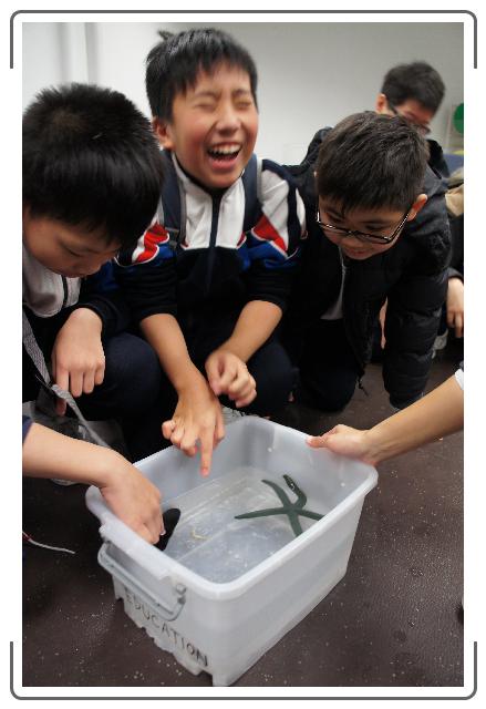 點選觀看原始影像檔案