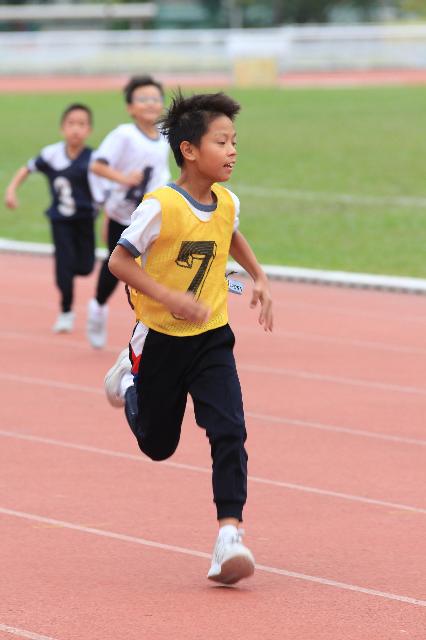 Click for original image